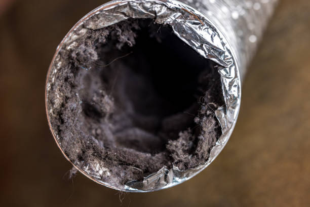 Best HVAC Duct Inspection Services  in Caledonia, MS