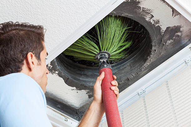 Best Affordable Duct Cleaning Services  in Caledonia, MS